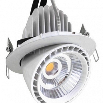 Downlight wychylny Roto 39W